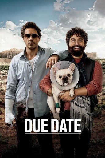 Due Date (2010) Hindi Dubbed